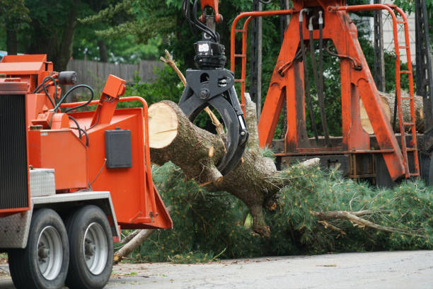 Best Lawn Grading and Leveling  in West Allis, WI