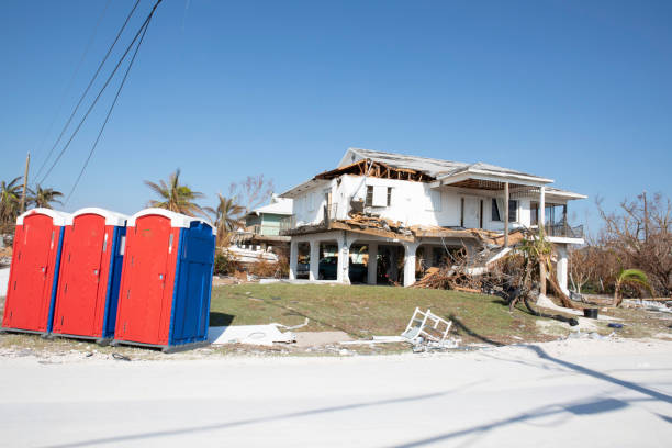 Best Tree Removal  in West Allis, WI